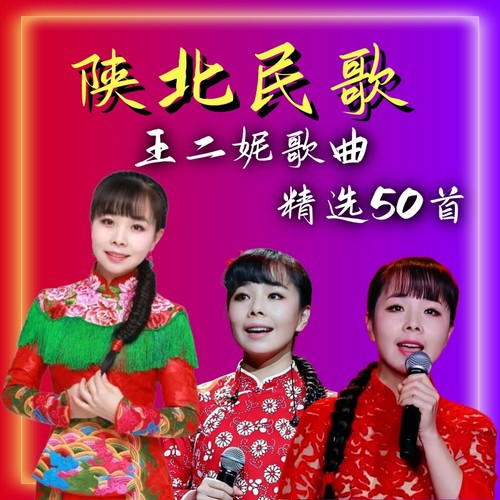 王二妮专辑陕北民歌车载音乐U盘