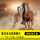 高清动物生物JPG图片奔跑 骏马宝马美工设计喷绘打印合成素材集