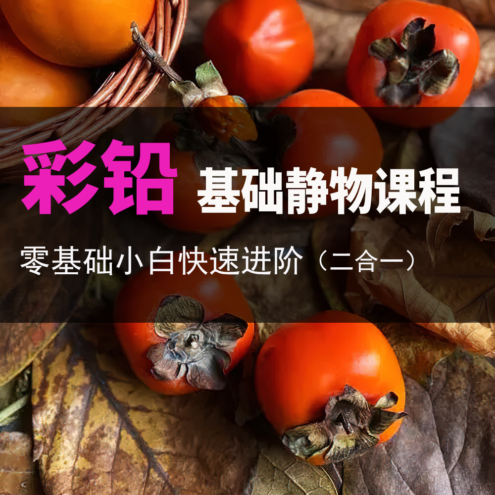 彩铅绘画超写实柿子静物视频课程 技法教程视频合集手绘 彩铅示范