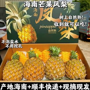 海南芒果味凤梨树上熟豆奶纯甜收到直接吃新鲜当季水果非金钻现摘