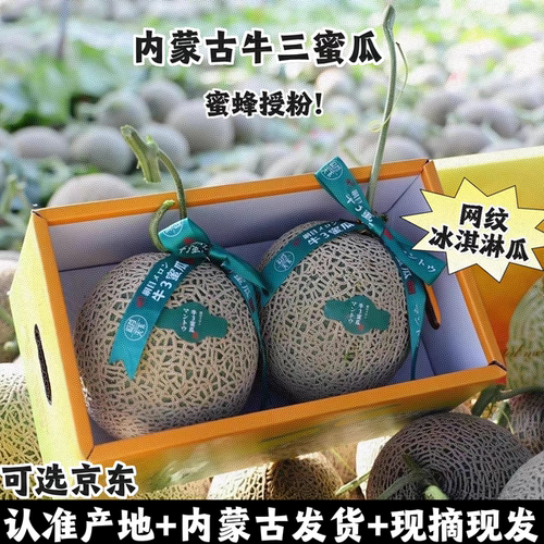 牛三内蒙当季现摘网纹哈密瓜礼盒