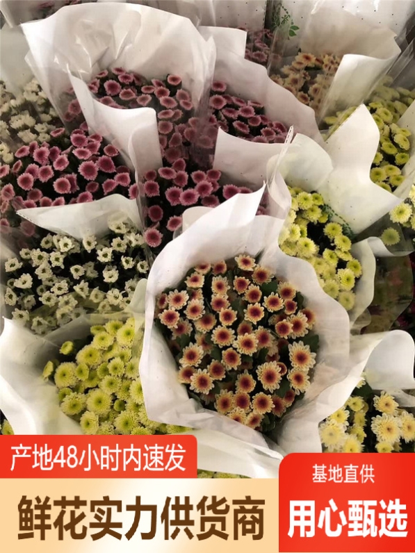 小雏菊鲜花昆明基地鲜花直批婚庆布置鲜花保鲜剂剑兰鲜花摆摊用花