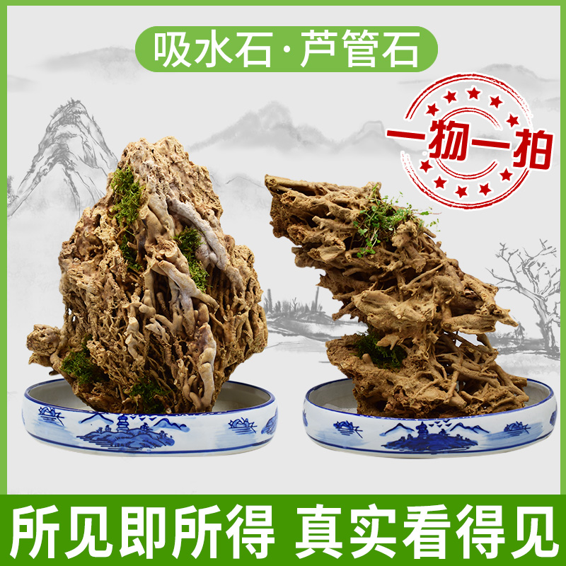 假山盆景客厅天然原石