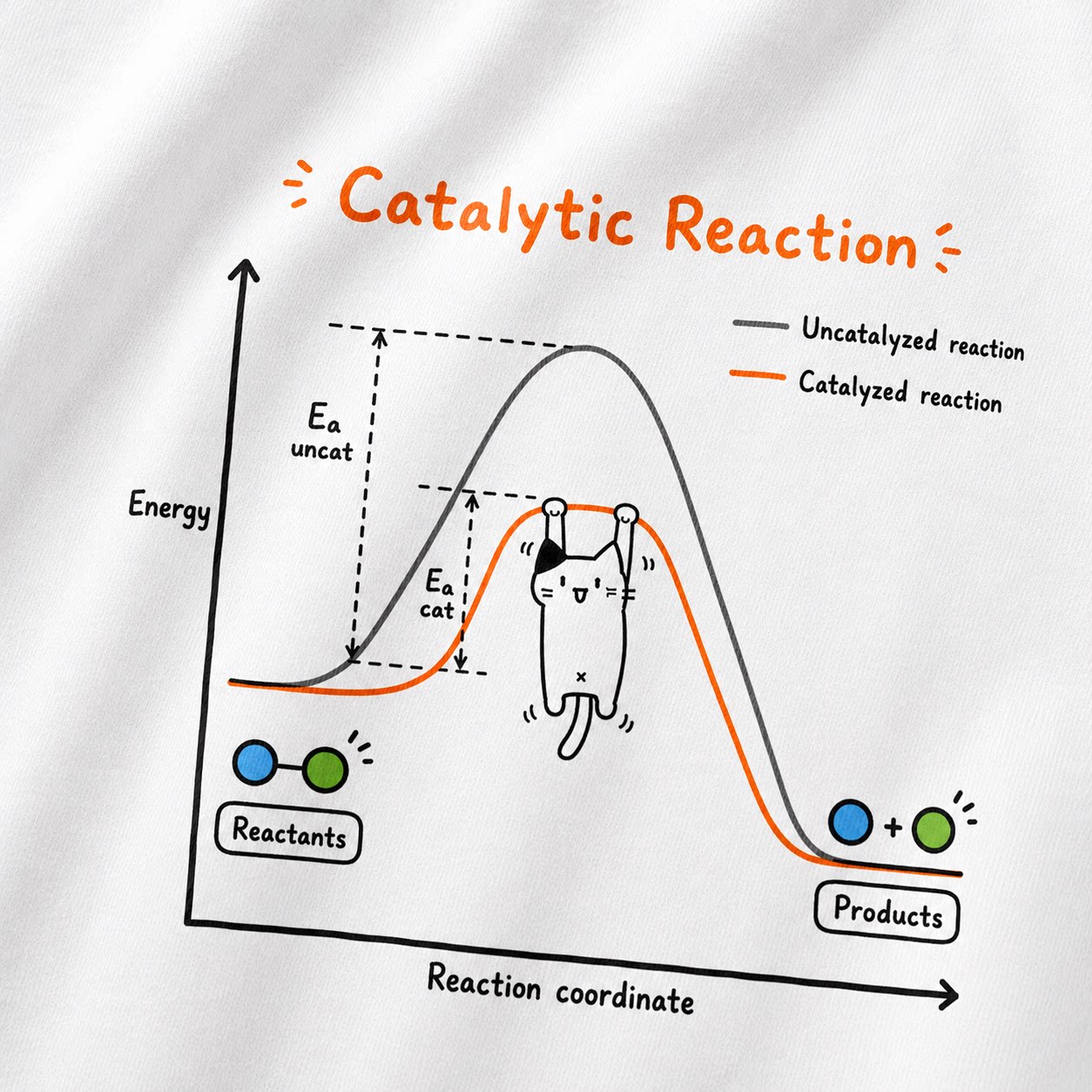 Catalytic Reaction小猫咪抛物线科学印花短袖T恤趣味教育男女款