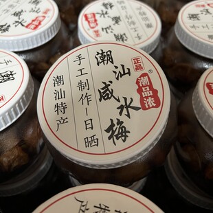 潮品浓潮汕咸水梅普宁特产网红蜜饯青梅酸甜话梅即食零食冲水果脯