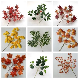 仿真树叶红枫叶鸡爪槭银杏叶法桐梧桐树叶五角枫叶朴树枝假塑料叶