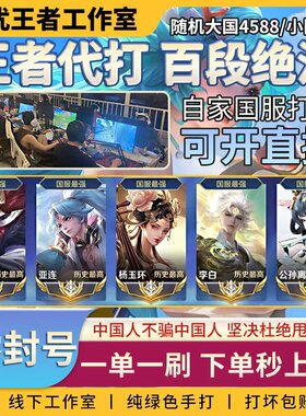 王者荣耀代练大小国标代打排位百星巅峰赛战力省标魔方国服工作室