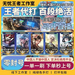 王者荣耀代练大小国标代打排位百星巅峰赛战力省标魔方国服工作室