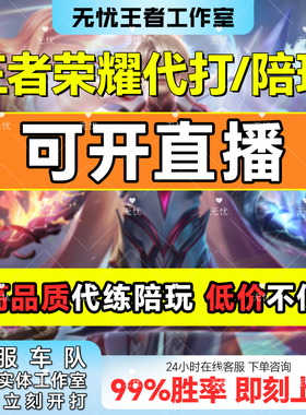 王者代打大小国标排位百星巅峰赛战力省标魔方国服王者荣耀代练