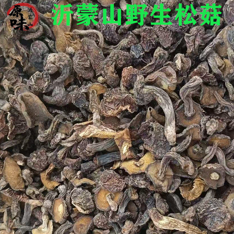 沂蒙山特产野生松蘑松娥蛾子黏团子黄团子新货野生蘑菇松蘑菇干货