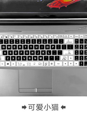 适用神舟战神GX9-CT7DK键盘保护膜17.3寸笔记本电脑防尘防水彩绘