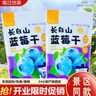 长白山特产微糖蓝莓果干儿童孕妇零食无添加剂独立包装 手提礼袋