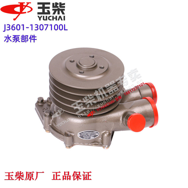 发动机6105水泵玉柴玉原厂图片