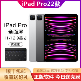 iPad Pro 13寸 苹果 2024 平板电脑2022 11英寸 2021款 Apple 12.9