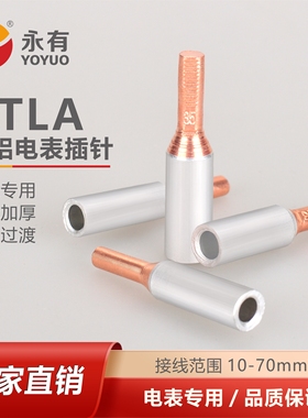电表铜铝插针GTLA-10 16 25 35 50平方铜铝过渡接线端子铜线接头