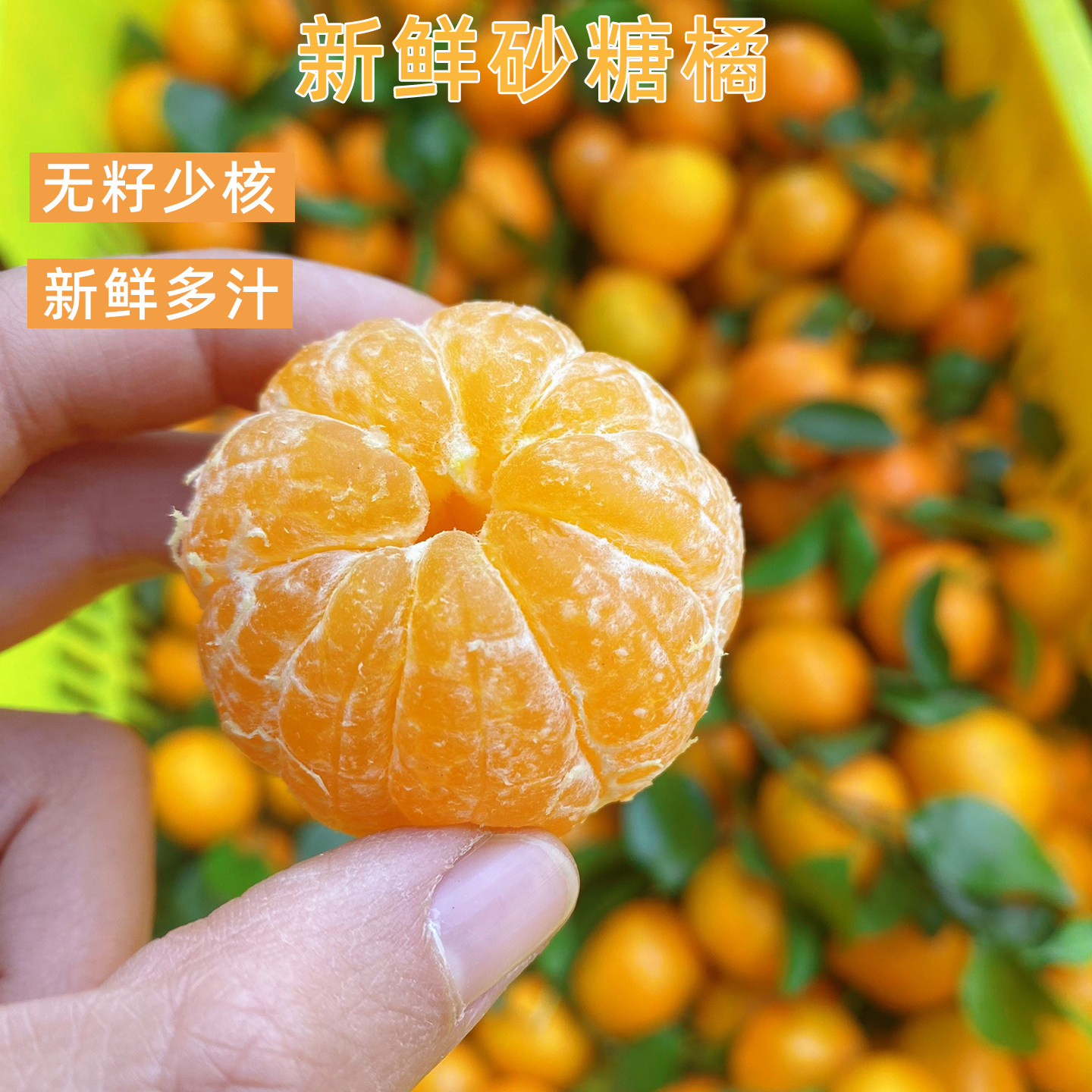 新鲜砂糖橘26年无籽手剥蜜橘多汁应季薄皮桔子当季水果沙糖桔现摘,水产肉类/新鲜蔬果/熟食,桔子,淘宝优惠券,粉丝福利购,淘宝优惠卷