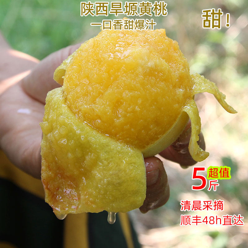 黄桃新鲜水果蜜桃陕西旱塬当季香甜多汁5斤整箱现摘现发坏果包赔