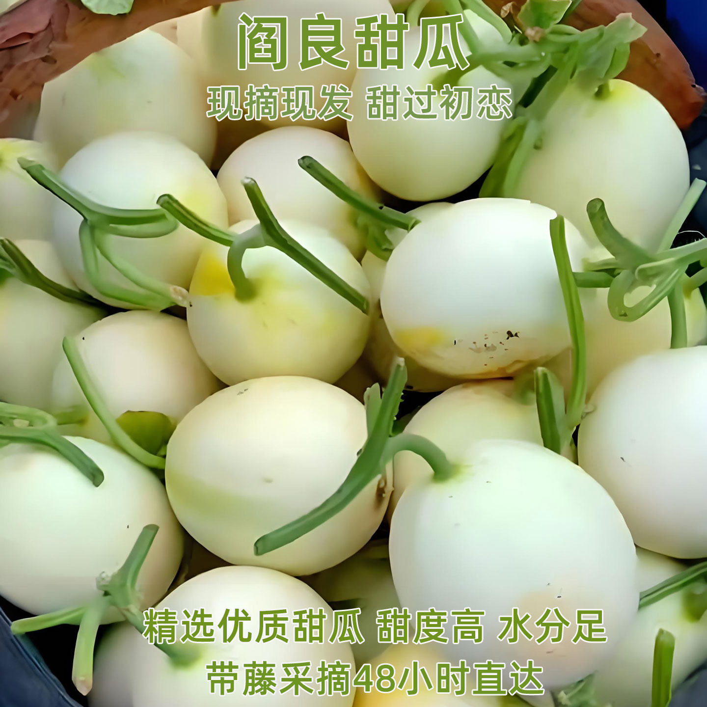 阎良甜瓜陕西新鲜时令白香瓜整箱水果白皮蜜瓜头茬正品小籽现摘甜