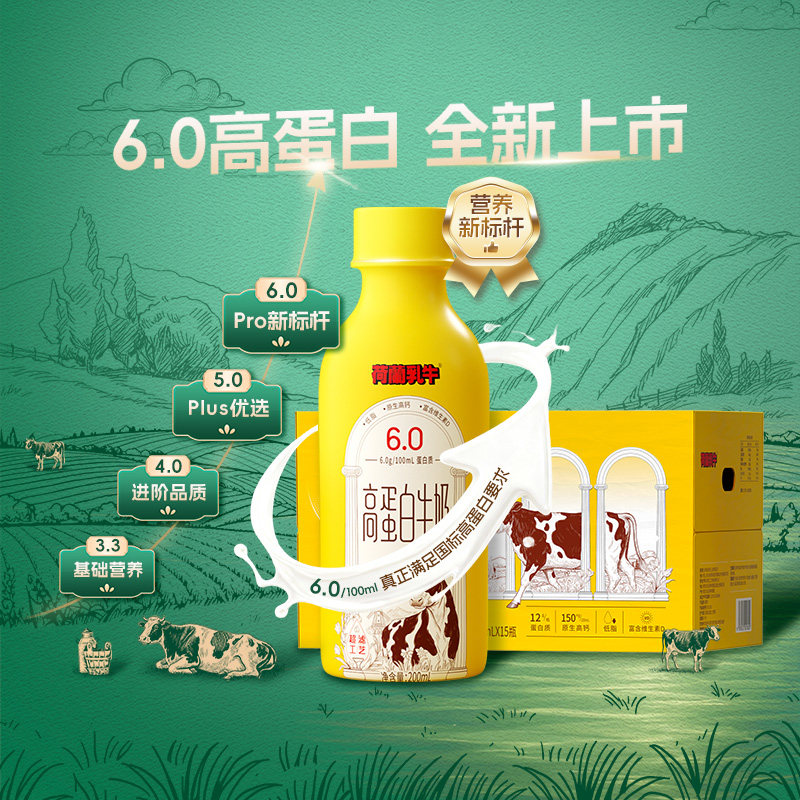 荷兰乳牛超滤6.0高蛋白液态奶