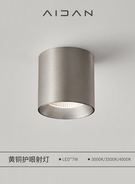 爱丹 超薄款明装筒灯圆形led迷你小吸顶无主灯免开孔高级感氛围灯