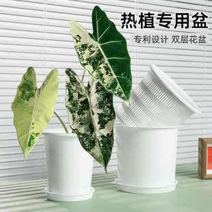 美莳双层热植专用花盆青山盆彩叶芋绿天鹅绒海芋花烛控根透气套盆