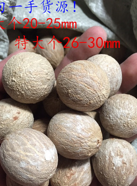 菩提根原料 大小个白玉菩提根风化菩提根手串原籽玲珑骰子12-30mm