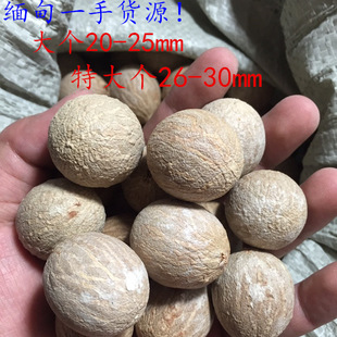 菩提根原料 大小个白玉菩提根风化菩提根手串原籽玲珑骰子12-30mm