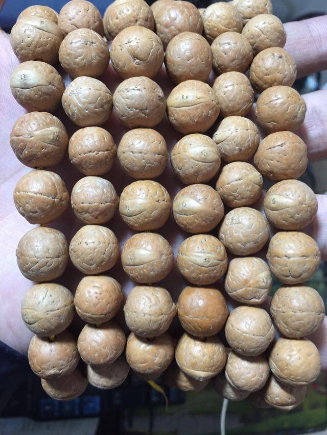 尼泊尔 凤眼菩提子 13-16mm左右 颗颗饱满 高密度 108颗