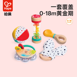 Hape五合一感官启蒙套装新生宝宝婴幼儿安抚玩具礼物摇铃小球沙漏