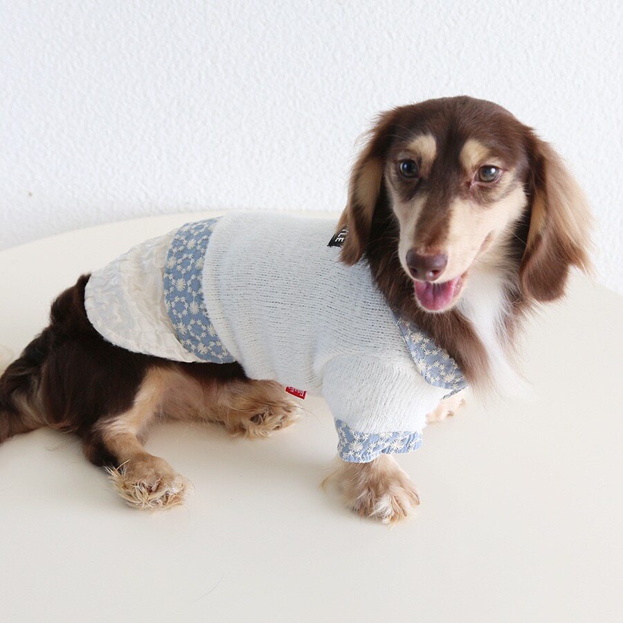 秋冬新款宠物腊肠犬小狗衣服波光狗宠物服装/雨衣