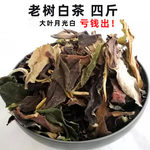 无量大叶月光4斤甘甜耐泡春茶