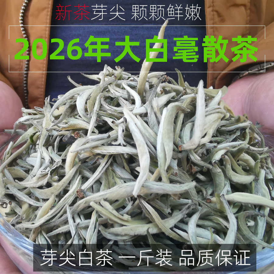 2026新茶一斤景谷大白茶老树散茶芽尖云南月光白大白毫银针500克