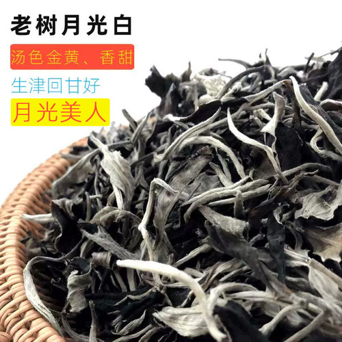 春茶云南月光白茶不苦涩