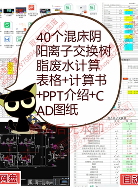 40个混床阴阳离子交换树脂废水计算表格+计算书+PPT介绍+CAD图纸