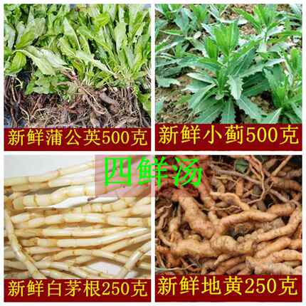 新鲜四鲜汤 凉茶食材蒲公英 白茅根 生地 小蓟 一件包邮