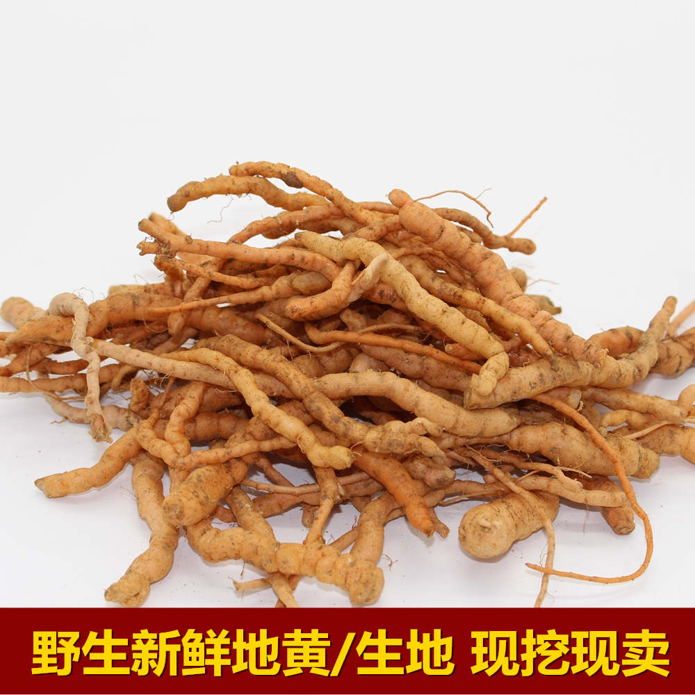 野生新鲜地黄地髓生地现挖小地