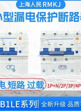 (NC漏电)DZ47LE-125/1P/2P/3P/4P 100A125A漏电断路器带漏电保护