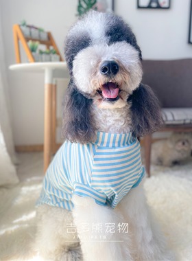 宠物狗衣服夏天可爱条纹背心荷叶袖网红防晒衣防掉毛雪纳瑞巨贵