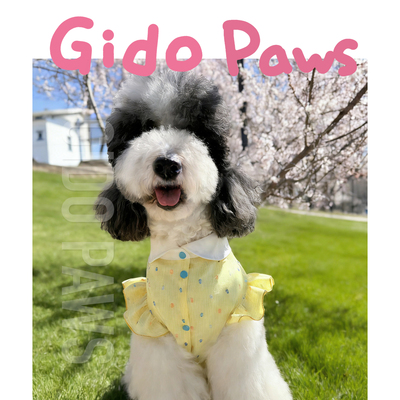 GIDO PAWS狗狗公主风夏日薄款超仙中大型犬可卡布西高地巨贵裙子