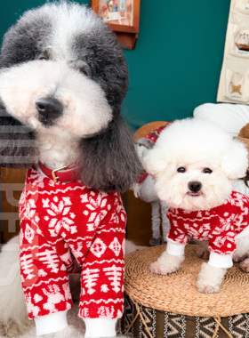 圣诞节狗狗大狗小狗保暖加厚宠物服装红色雪花巨贵秋冬新年麋鹿