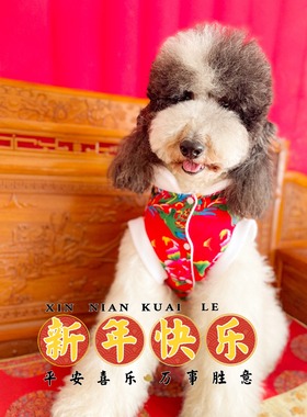 宠物衣服大型犬小型犬雪纳瑞巨贵过年新年东北大花袄喜庆唐装冬天