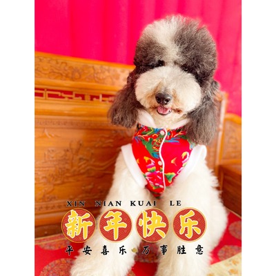 东北大花袄过年喜庆宠物衣服