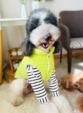 吉多熊家棉加厚马甲狗狗衣服大型犬小型犬宠物冬季装潮巨贵柴犬