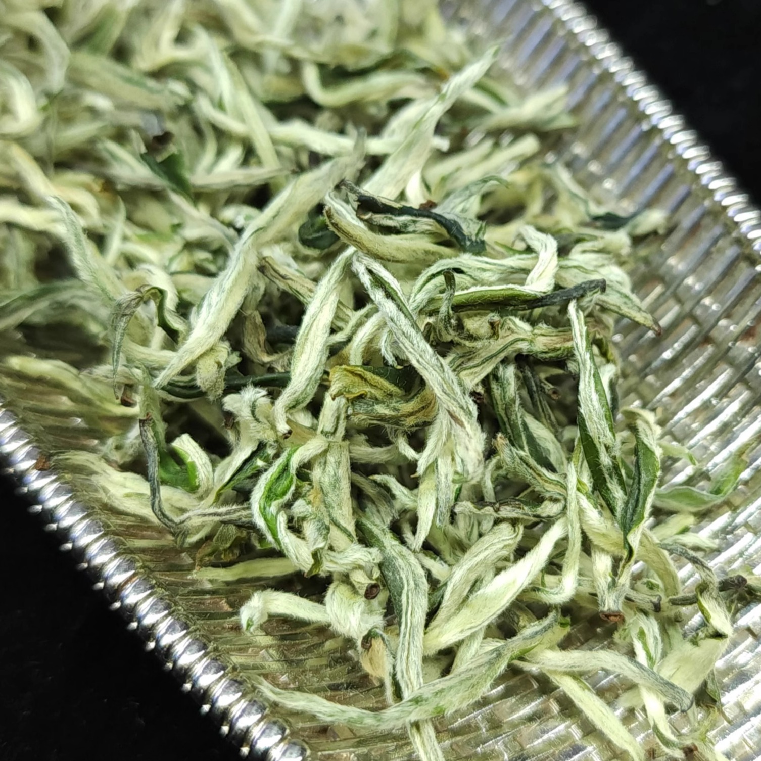 特级银芽绿茶2026（顺丰）春茶云南绿茶普洱市发货鲜嫩甜润回甘