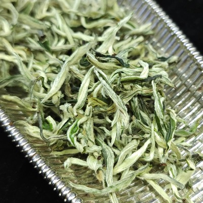 特级银芽绿茶2026（顺丰）春茶云南绿茶普洱市发货鲜嫩甜润回甘