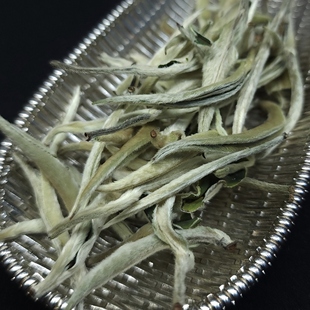 【顺丰】2025月下逢白毫银针大白毫云南景谷高山白茶清香浓郁高杨