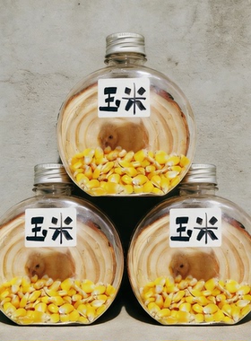 幼儿园种子博物馆环创材料盒学校走廊环境创设布置标本墙种子盒