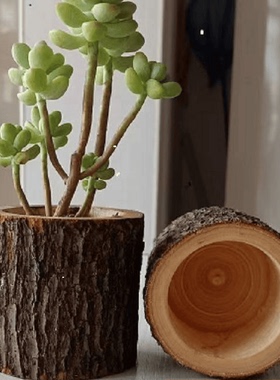 复古田园风原木树皮铁皮天然树桩花盆创意花器花瓶个性多肉花桶