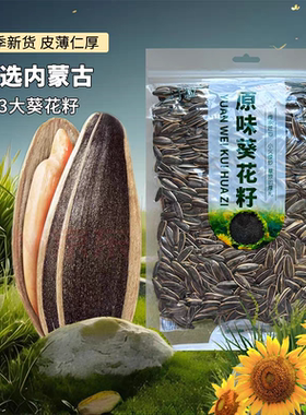 内蒙古363原味瓜子大颗粒新货