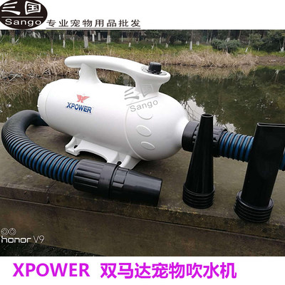 XPOWER新款通用宠物机B23 B27白色双马达静音大功率狗狗猫吹水机